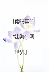 南靖国兰“出海”闯世界
